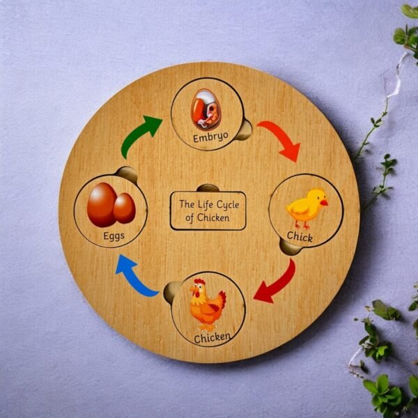 Life Cycle Board