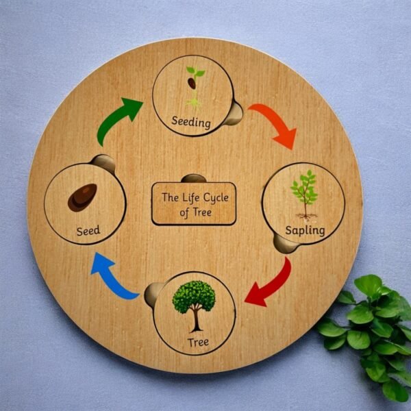 Life Cycle Board - Image 7