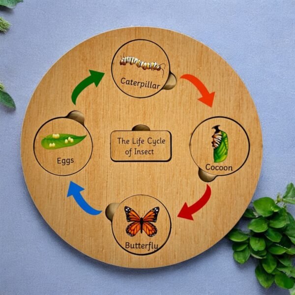 Life Cycle Board - Image 8