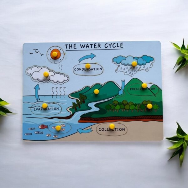 The Water Cycle