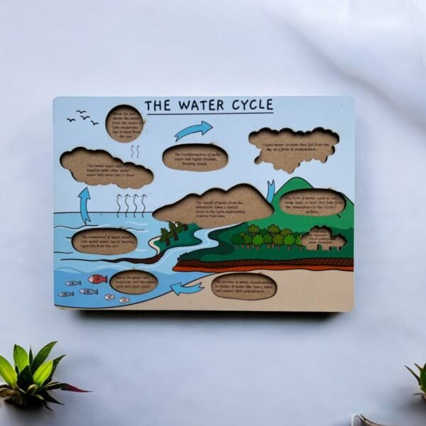 The Water Cycle - Image 2