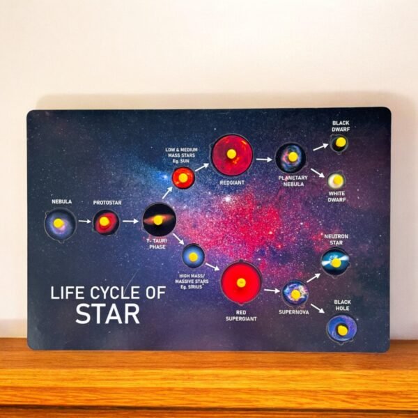 Life Cycle of Star