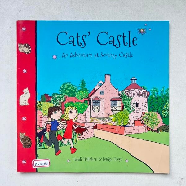 Cat's Castle _Heidi Hollobon