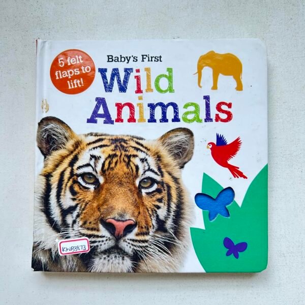 Wild Animals _Imagine That