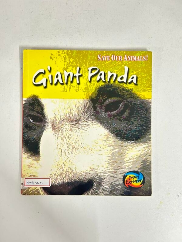 Giant Panda _Louise
