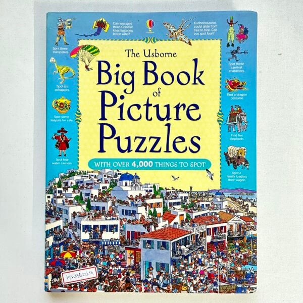 The Usborne Big Book Of Picture Puzzles_David Hancock
