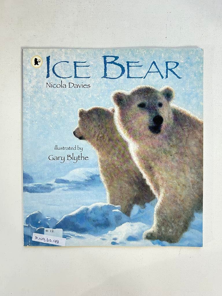 Ice Bear_Nicola Davies