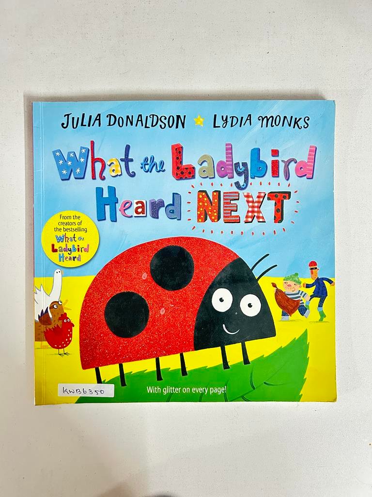 What The Ladybird Heard Next_Julia Donaldson