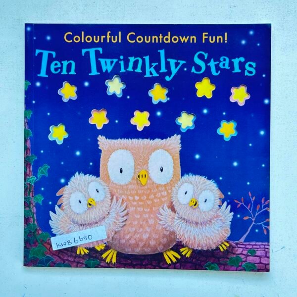 Ten Twinkly Stars_Little Tiger Press