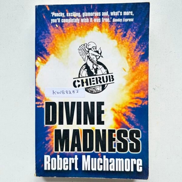 Divine Madness_Robert Muchamore