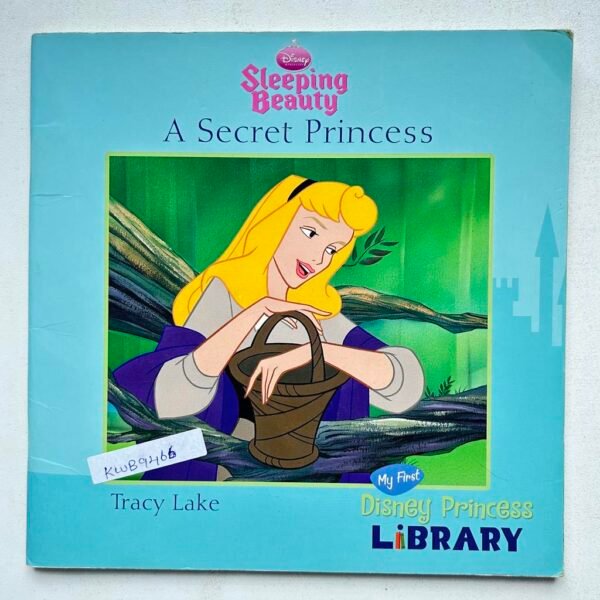 Sleeping Beauty A Secret Princess_Tracy Lake
