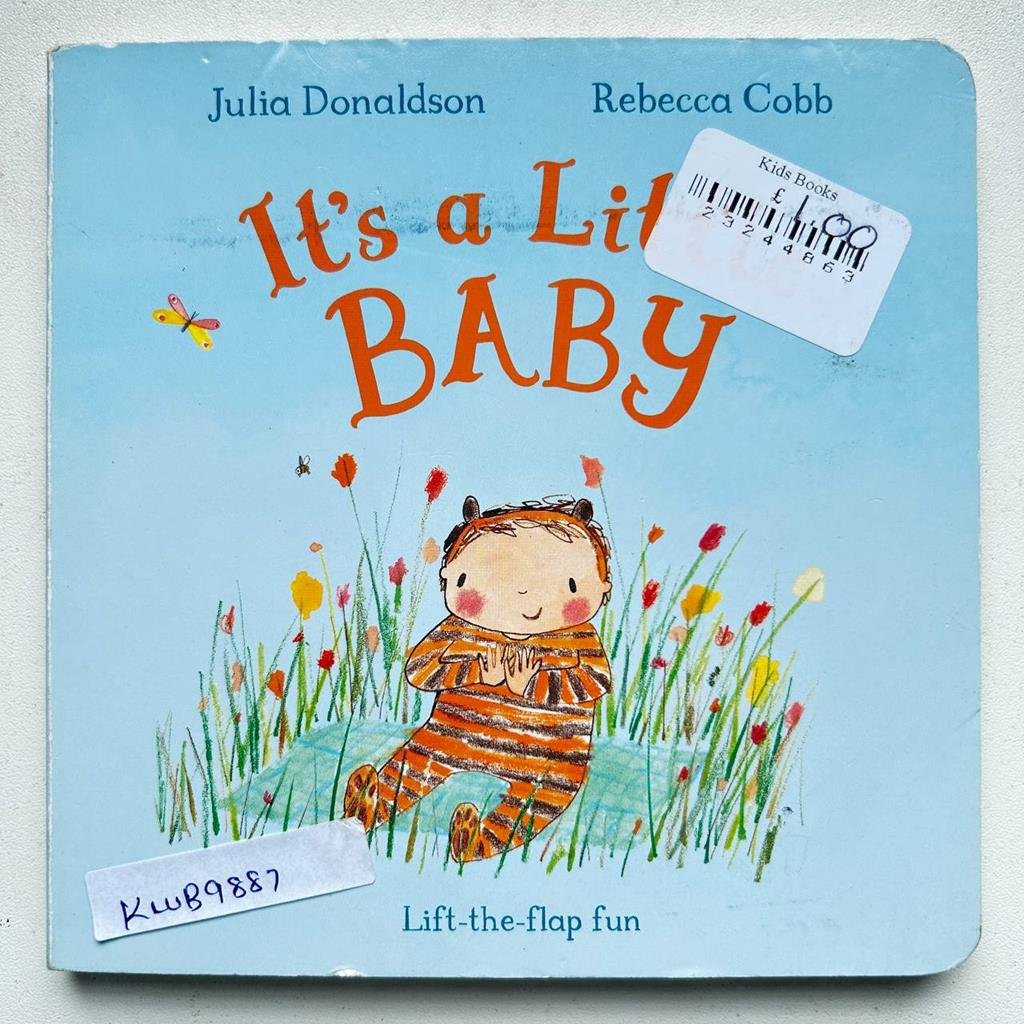 It's A Little Baby_With Flap _Julia Donaldson
