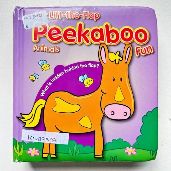 Peekaboo Animal Fun_Lift _The _Flap Book_Yo Yo Books