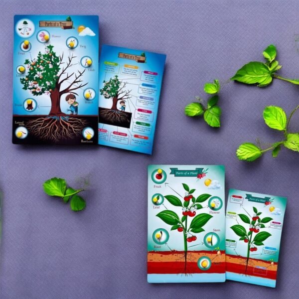 Parts Of A Tree & Plant Combo Kit