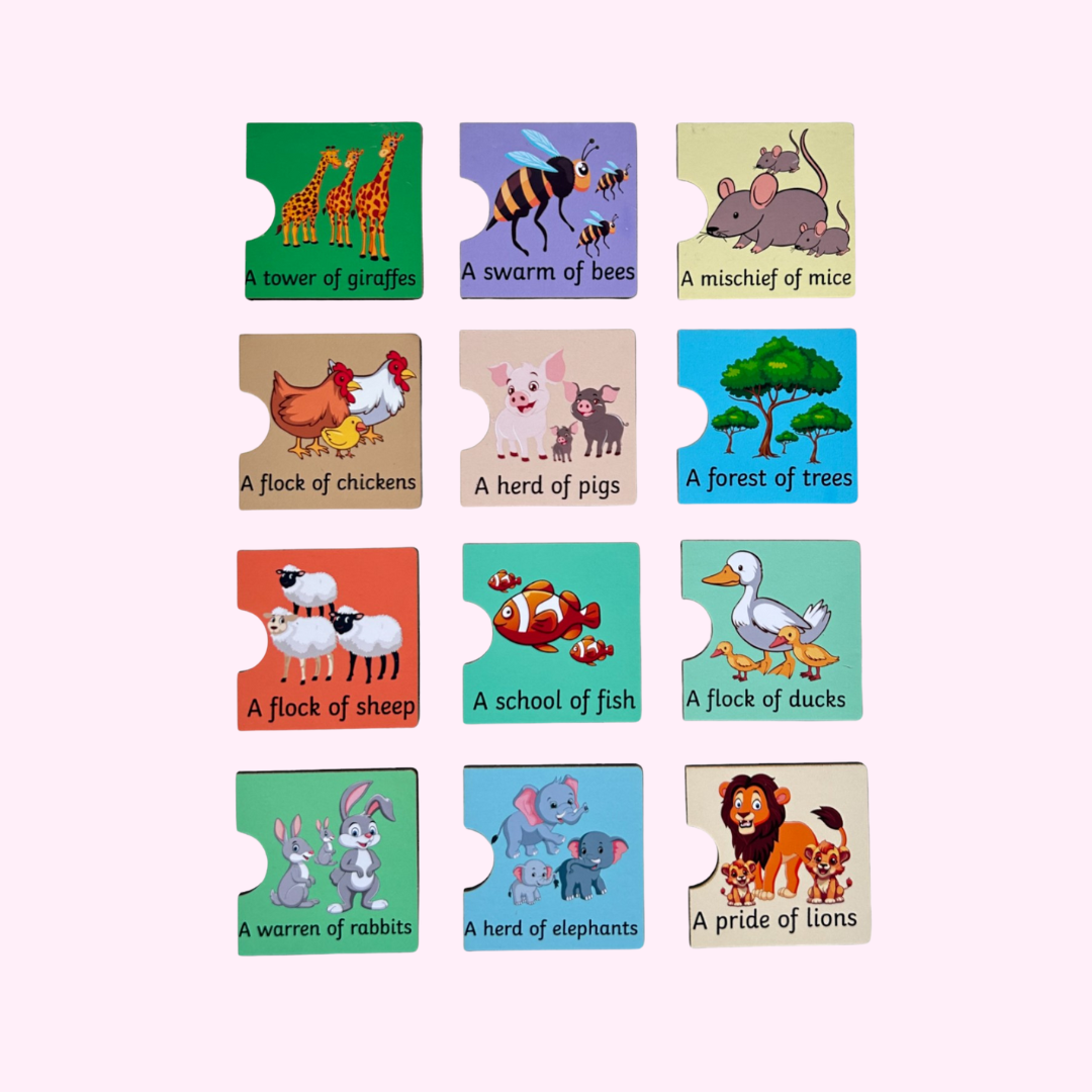 singular-plural-collective-noun-puzzle-kiddiwinks