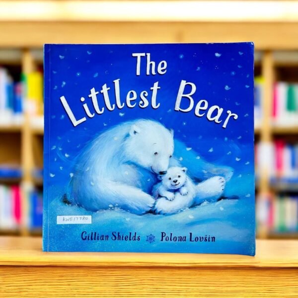 The Littlest Bear_Gillian Shields_KWB17780
