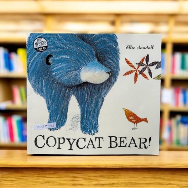 Copycat Bear!_Ellie Sandall_KWB17903