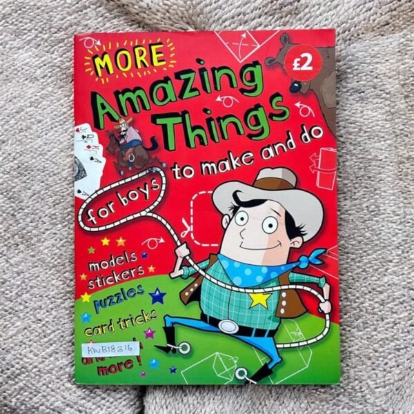 More Amazing Things For Boys To Make And Do_Cathy Tinknell