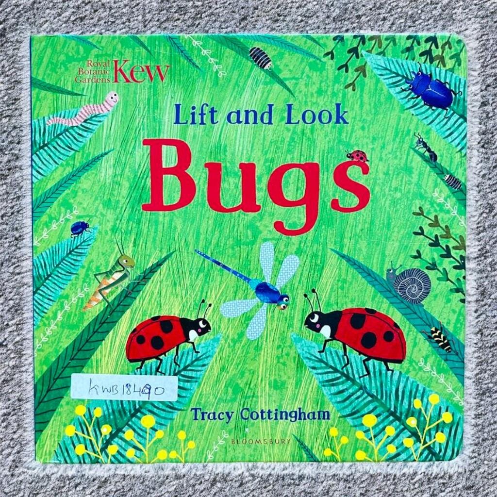 Lift And Look Bugs_Flap Book_Bloomsbury_KWB18490