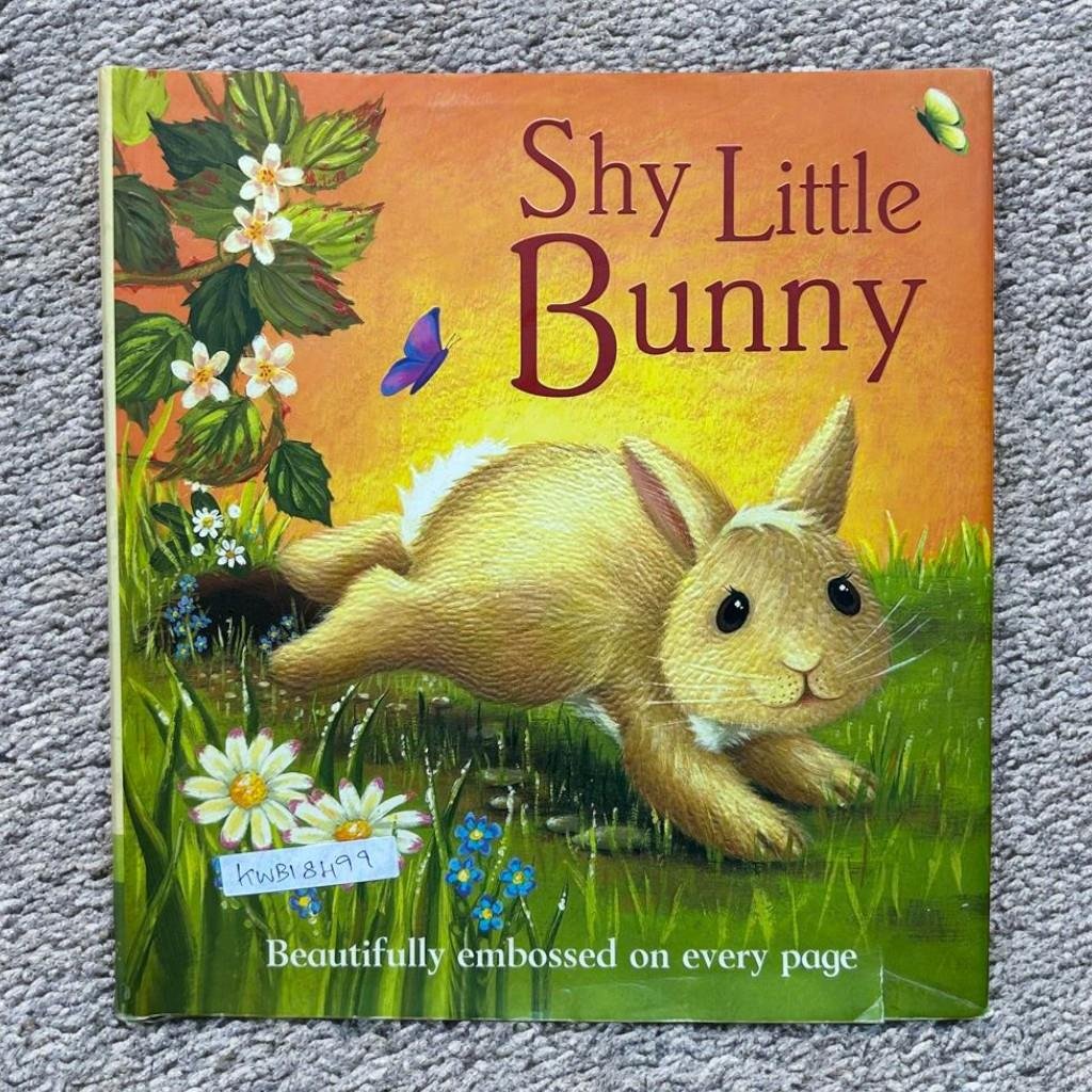 Shy Little Bunny_Embossed Book_Parragon_KWB18499