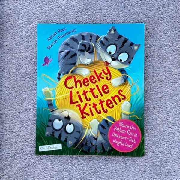 Cheeky Little Kittens_Igloo Books_KWB19066