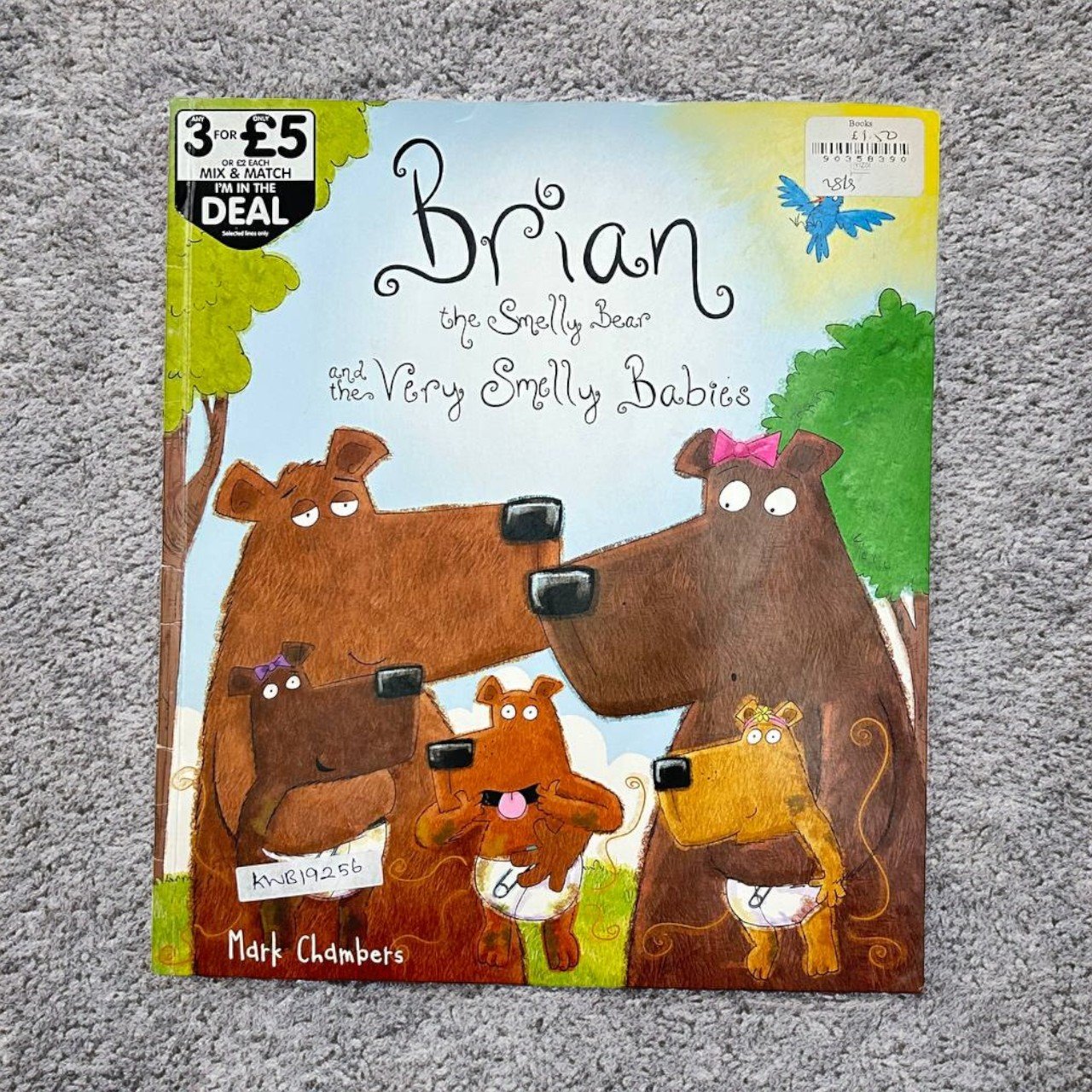 Brain The Smelly Bear And The Very Smelly Babies_Mark Chambers_KWB19256