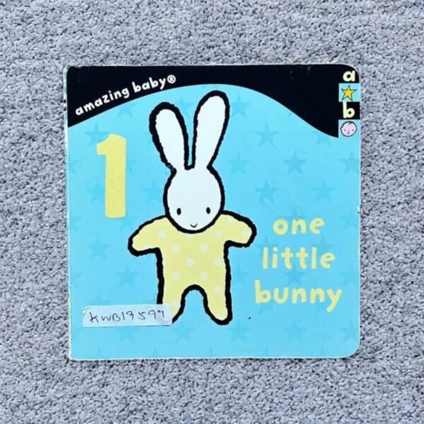One Little Bunny_Amazing Baby_KWB19597