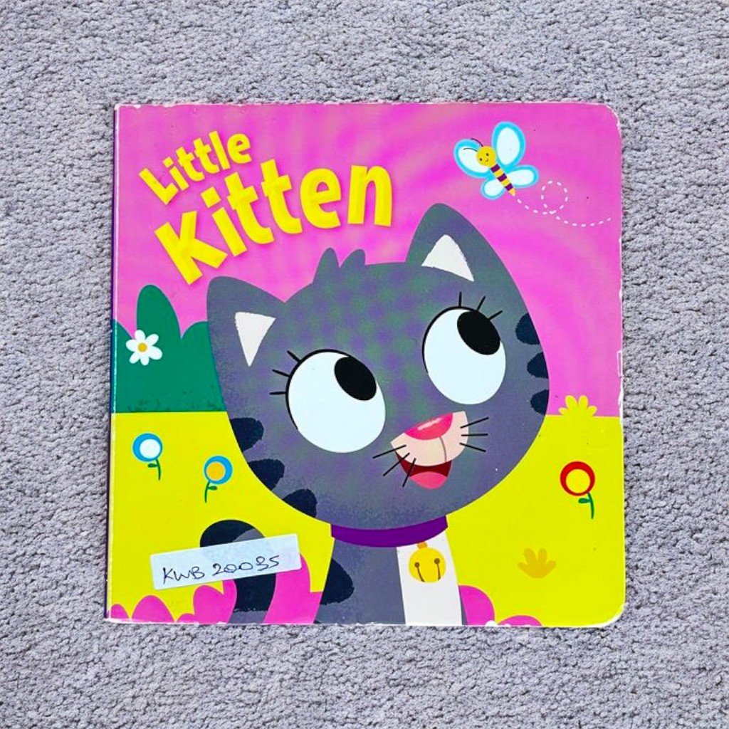 Little Kitten_Brown Watson_KWB20035