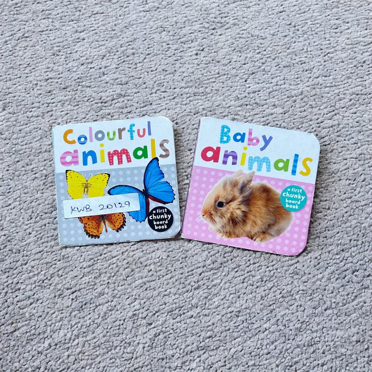 Pocket Size_A First Chunky Board Book_Set Of 2 Books_Board Book_KWB20129