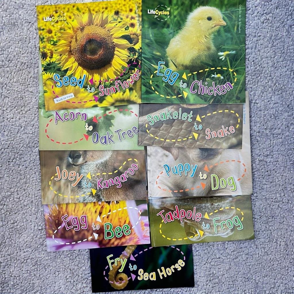 Lifecycles_Set Of 9 Books_QED_KWB20550