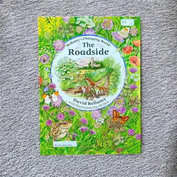 The Roadside_David Bellamy_KWB20999