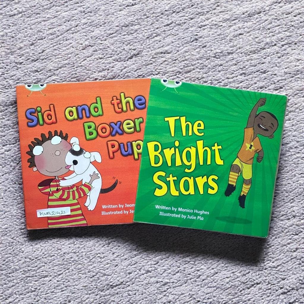 Phonics Bug_Set Of 2 Books_Pearson_KWB21421