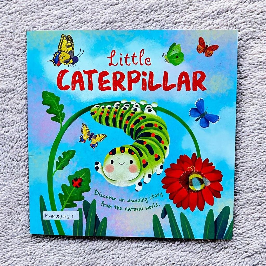 Little Caterpillar_Autumn_KWB21457