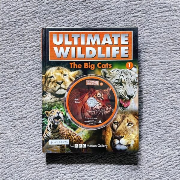 Ultimate Wildlife_The Big Cats_Cd_BBC Motion Gallery_KWB22694