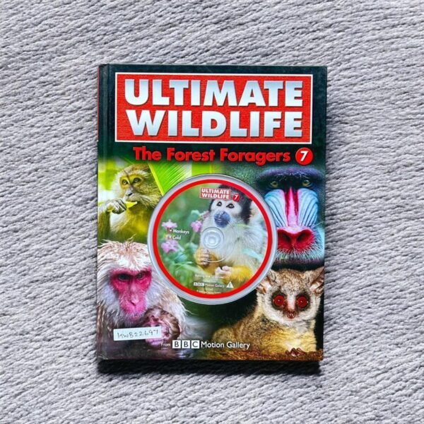 Ultimate Wildlife_The Forest Foragers_Cd_BBC Motion Gallery_KWB22697