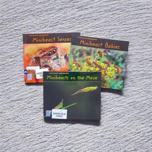 Comparing Minibeasts_Set 3 Books_Charlotte Guillain_KWB22703