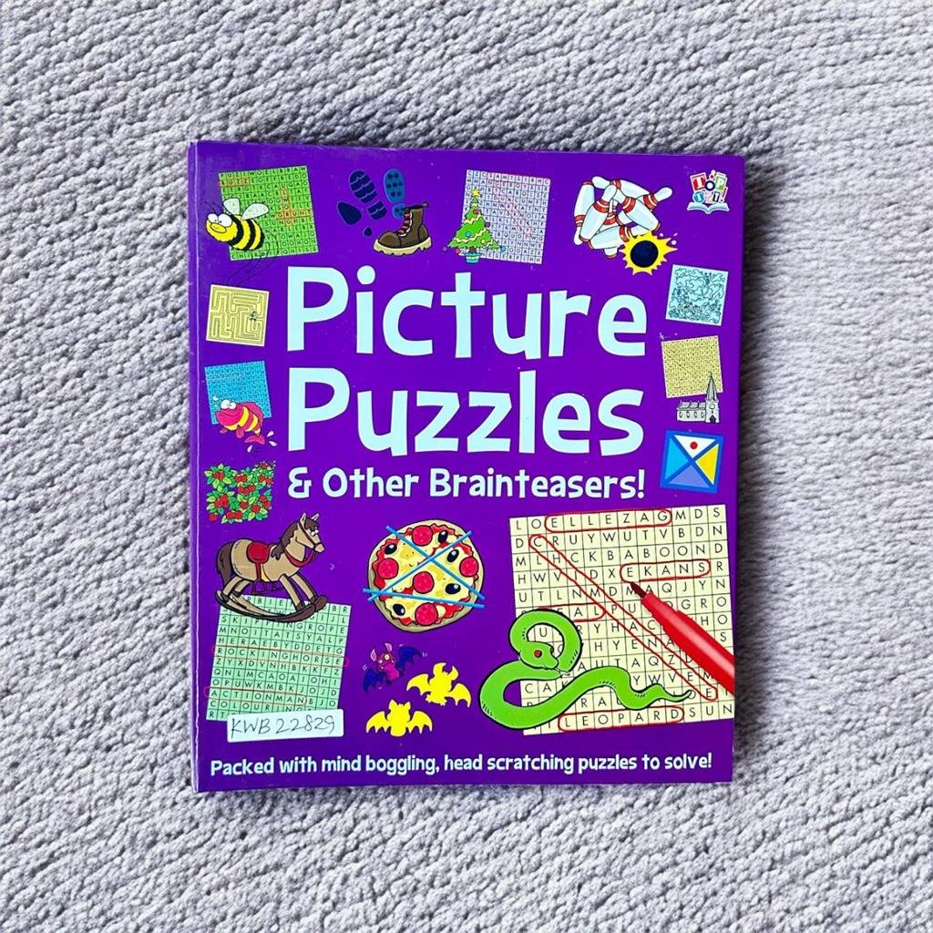 Picture Puzzles & Other Brainteasers!_Puzzles_Puzzles_KWB22829