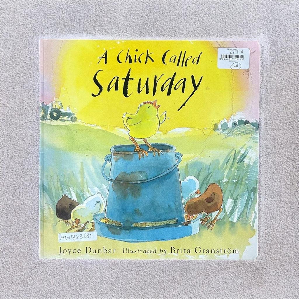 A Chick Called Saturday_Brita Granstrom_KWB23581