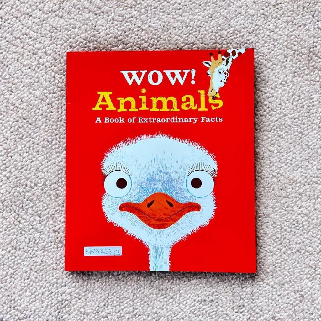 Wow! Animals_Kingfisher_KWB23643