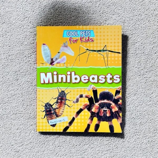 Cool Pets For Kids_Minibeasts_Dawn Titmus_KWB24013