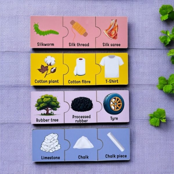 Raw to Ready and Singular Plural Collective Noun Puzzle Combo - Image 4