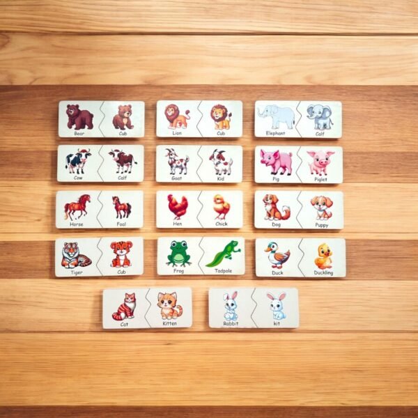 Early Learning Box Set - Image 5
