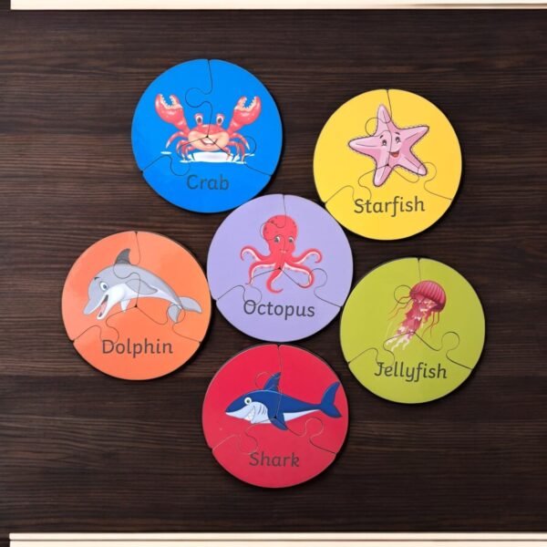 Early Learning Box Set - Image 6