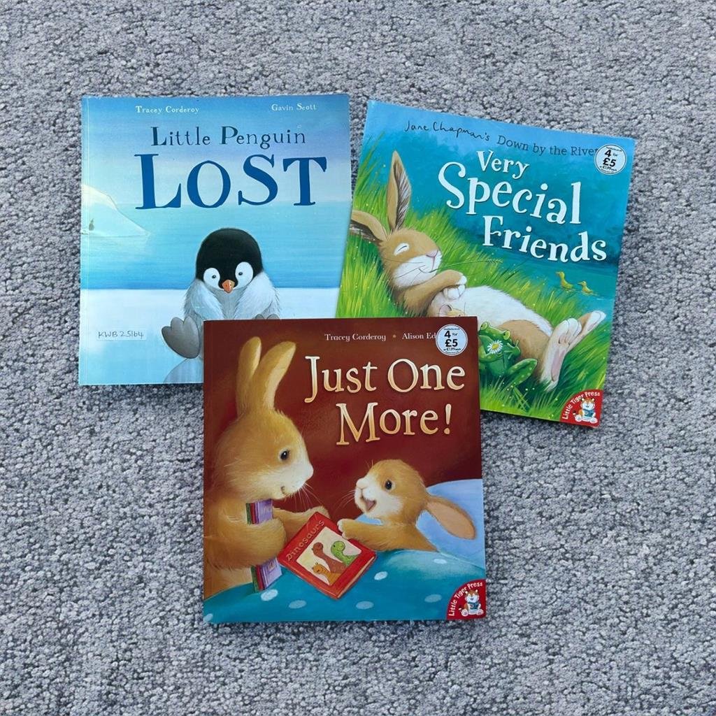 Little Tiger_Read Aloud Picture Story Books_Set Of 3 Books_Little Tiger Press_KWB25164