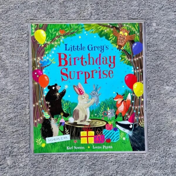 Little Grey's Birthday Surprise_Karl Newson_KWB25549