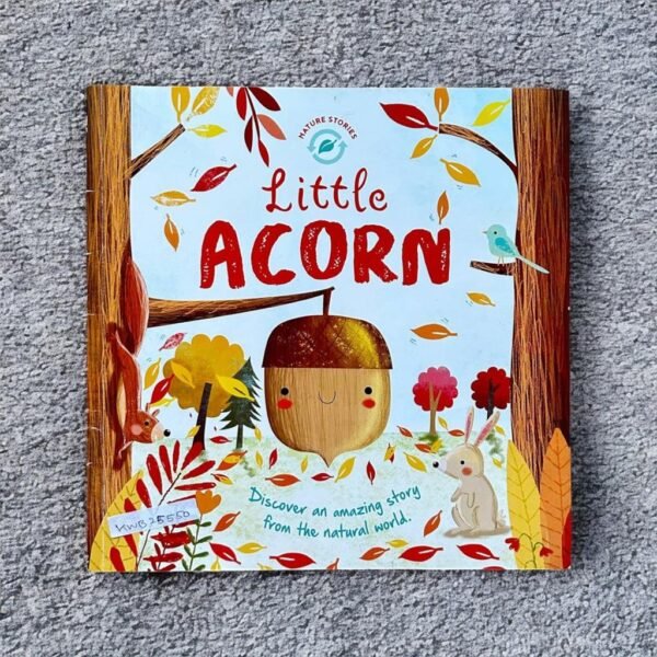 Little Acorn_Autumn_KWB25550