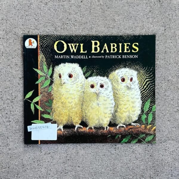Owl Babies_Martin Waddell_KWB25614