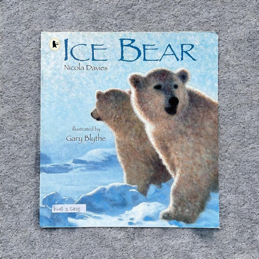 Ice Bear_Nicola Davies_KWB25815
