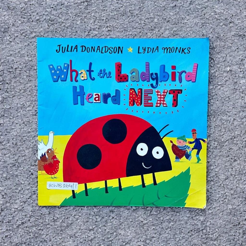 What The Ladybird Heard Next_Juila Donaldson_KWB26411