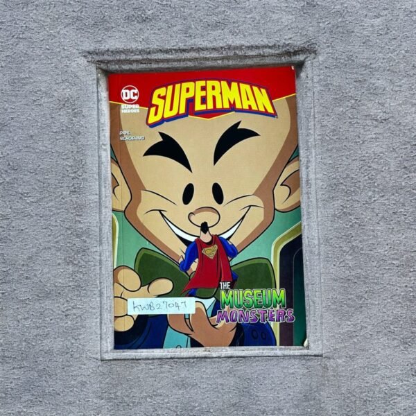 Dc Super Heroes_Superman_Raintree_KWB27047